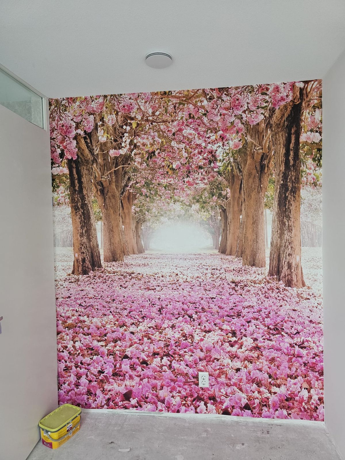 Portfolio: Fotobehang met bloesempad tussen bomen